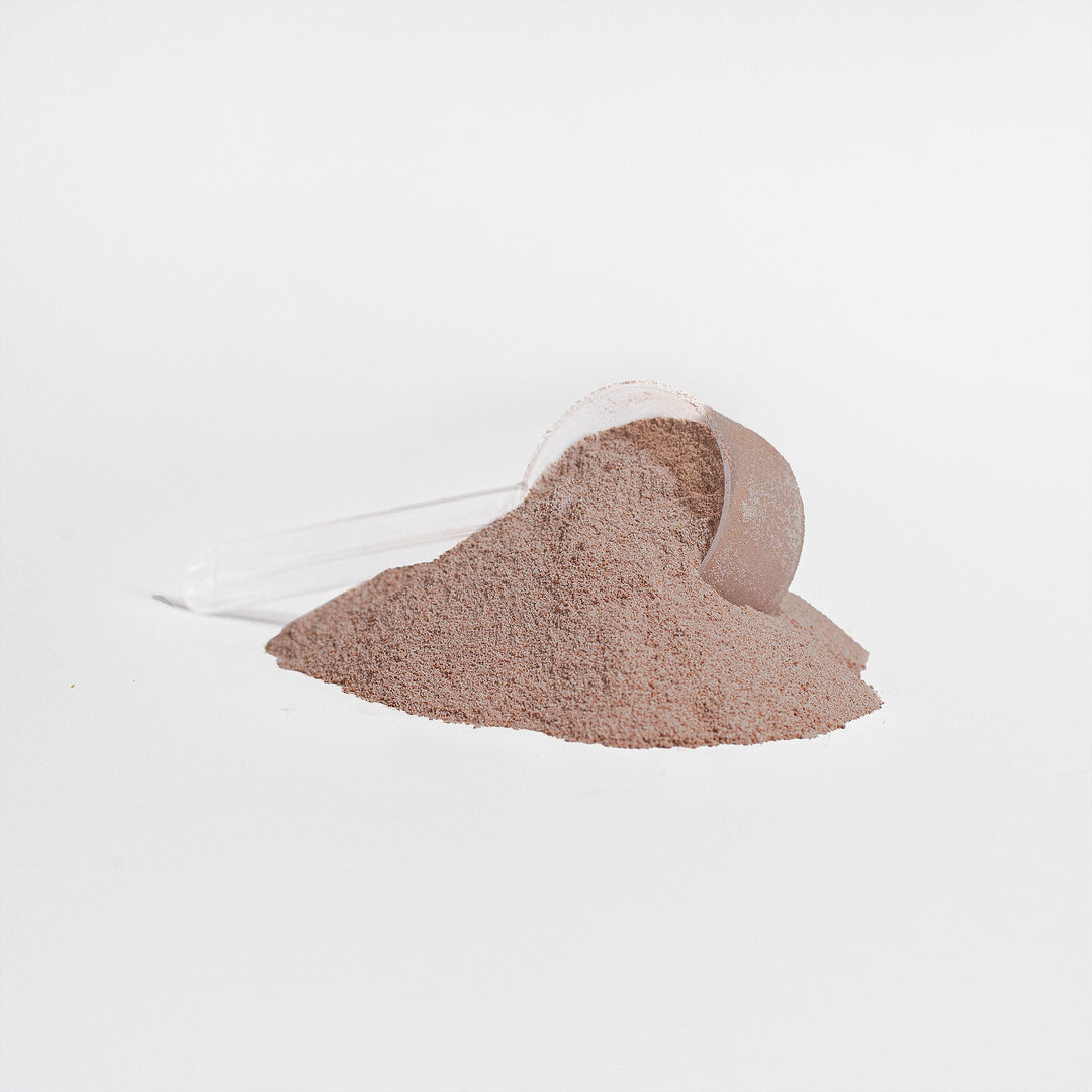 advanced 100% whey protein isolate (chocolate)